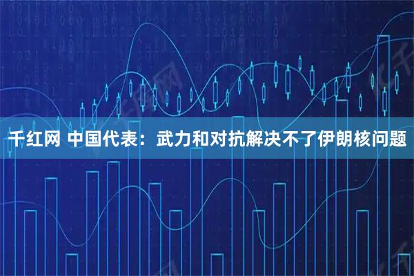 千红网 中国代表：武力和对抗解决不了伊朗核问题