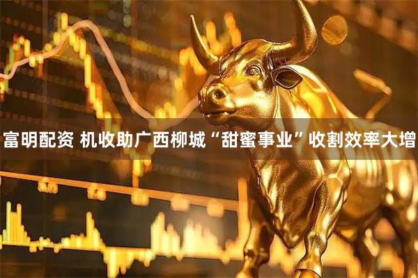 富明配资 机收助广西柳城“甜蜜事业”收割效率大增